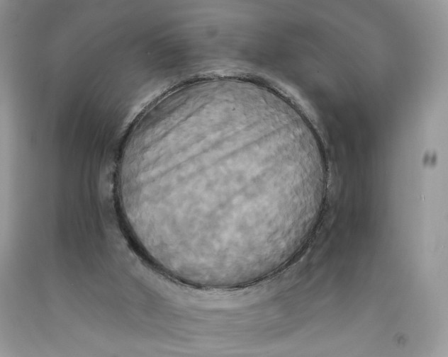 X0000091510010200709141404