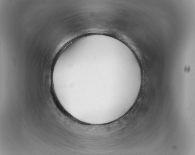 X0000091510011200709141404