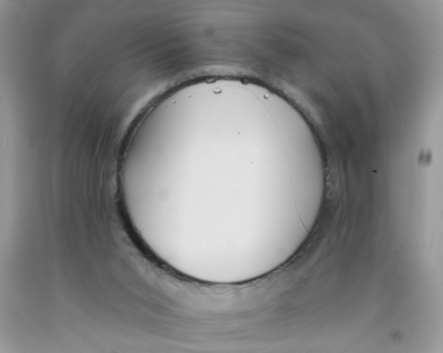 X0000091510015200709141404