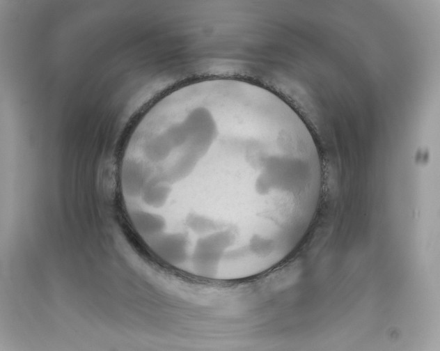 X0000091510016200709141404