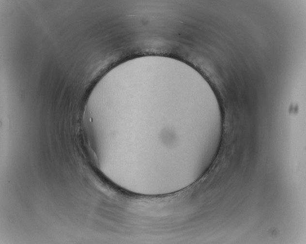 X0000091510017200709141404