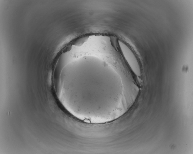 X0000091510019200709141404