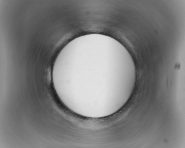 X0000091510020200709141404