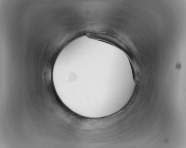 X0000091510021200709141404