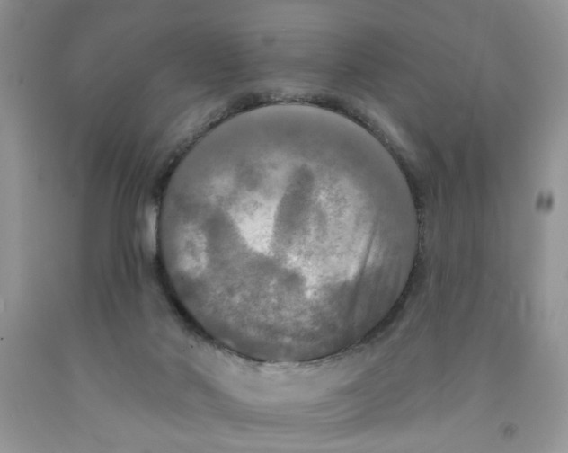 X0000091510022200709141404