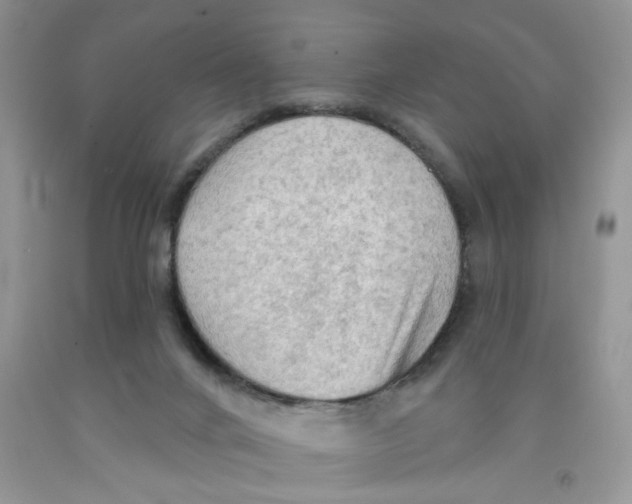 X0000091510024200709141404