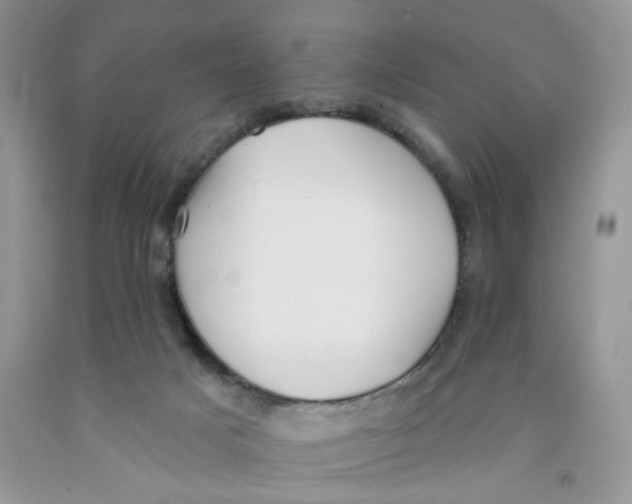 X0000091510025200709141404