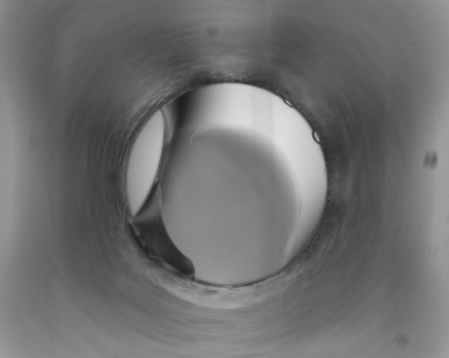 X0000091510027200709141404