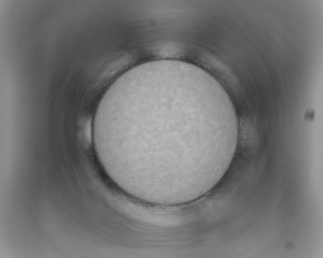 X0000091510028200709141404