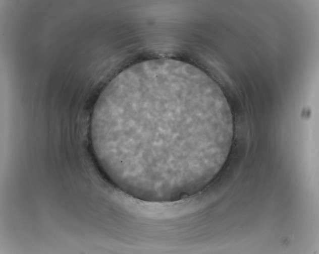 X0000091510030200709141404