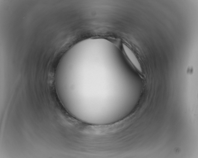 X0000091510033200709141404