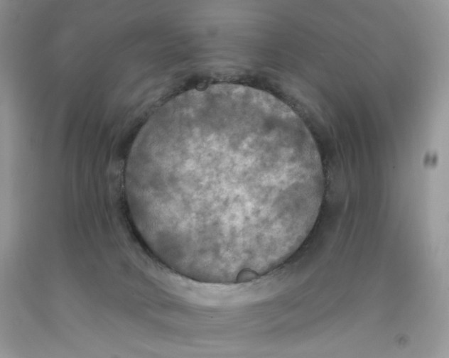 X0000091510034200709141404