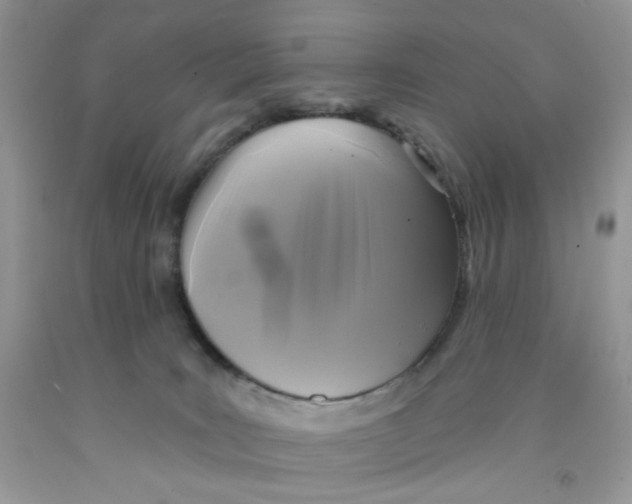 X0000091510035200709141404