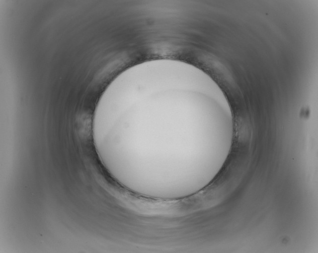 X0000091510036200709141404