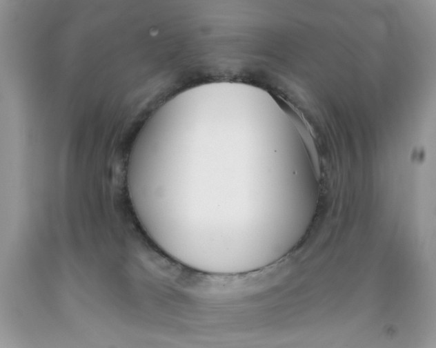 X0000091510037200709141404