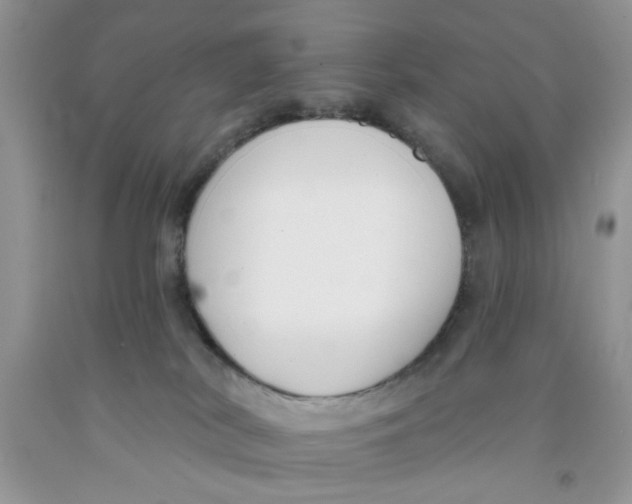 X0000091510038200709141404