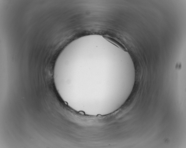 X0000091510040200709141404