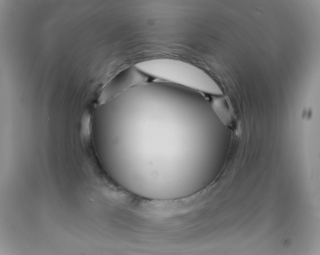 X0000091510041200709141403