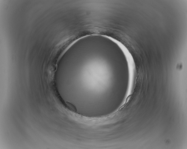 X0000091510043200709141403