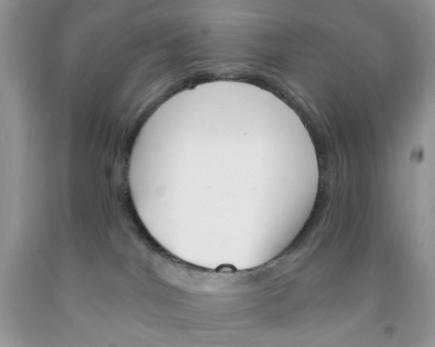 X0000091510044200709141403