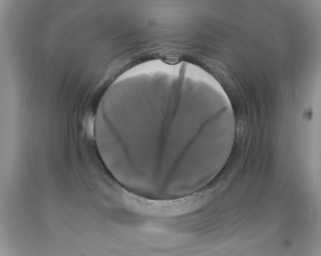 X0000091510046200709141403