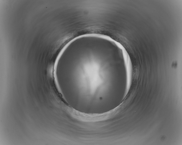 X0000091510047200709141403