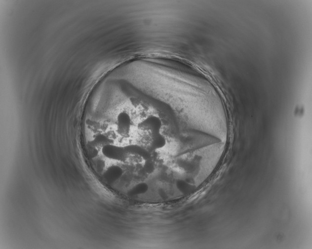 X0000091510049200709141403