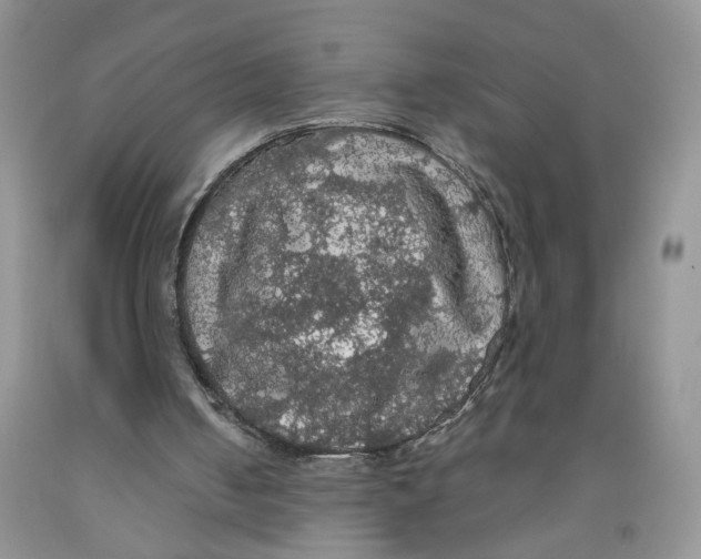 X0000091510050200709141403