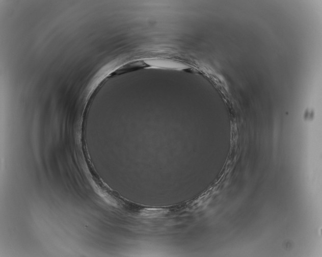 X0000091510051200709141403