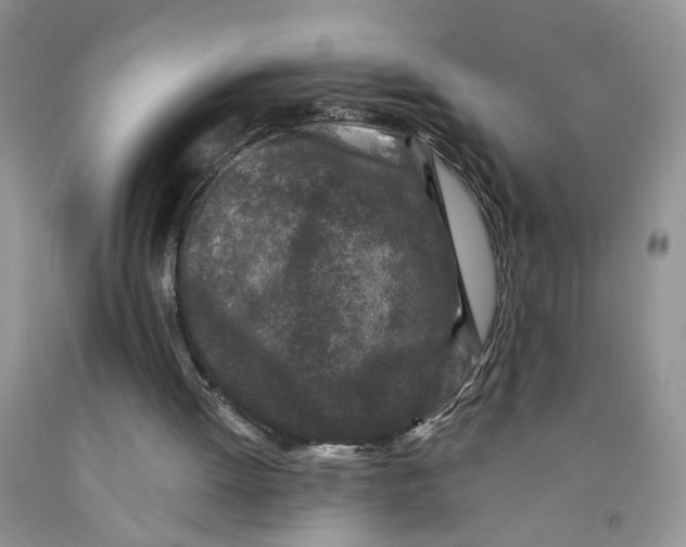 X0000091510052200709141403