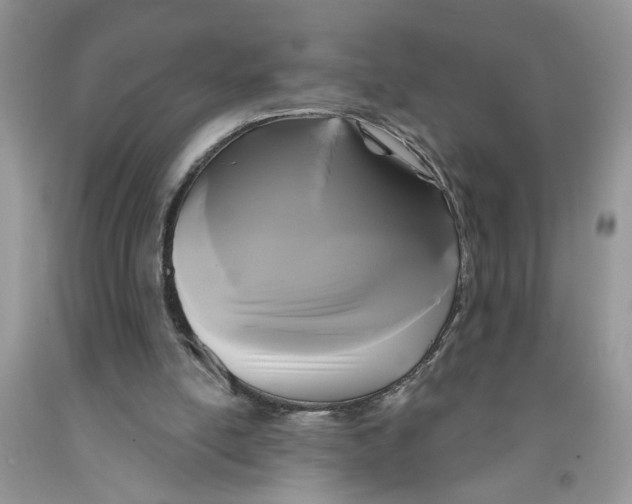 X0000091510054200709141403