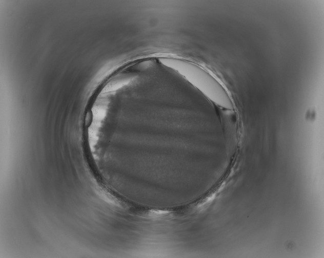 X0000091510055200709141403