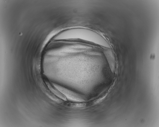 X0000091510056200709141403