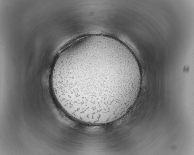 X0000091510058200709141403