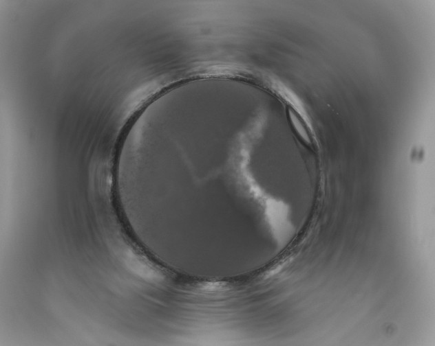 X0000091510059200709141403