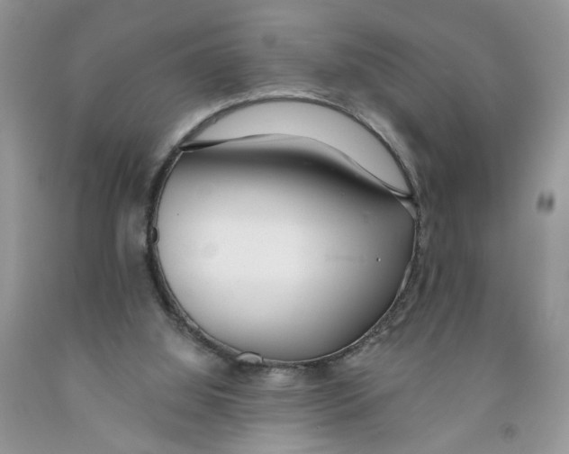 X0000091510060200709141403