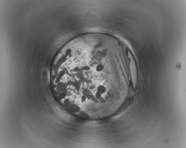 X0000091510061200709141403