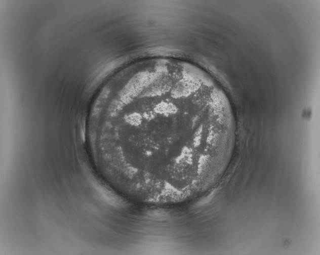 X0000091510062200709141403