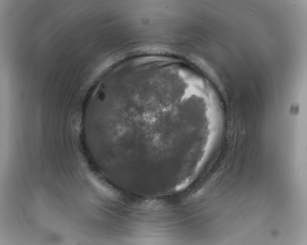 X0000091510063200709141403