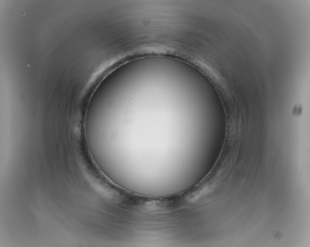 X0000091510064200709141403