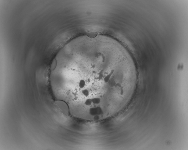 X0000091510065200709141403