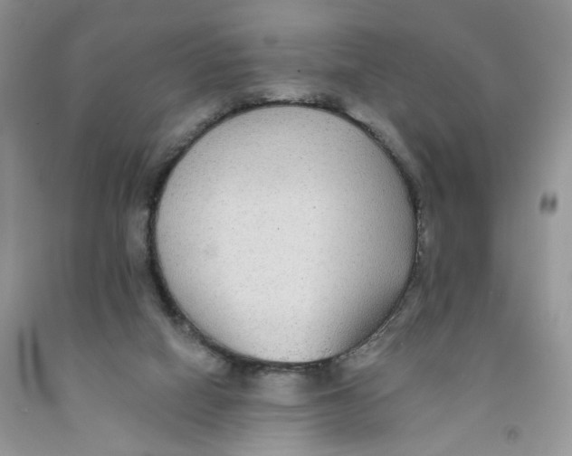 X0000091510066200709141403