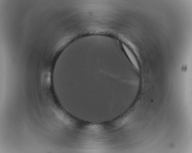 X0000091510067200709141403