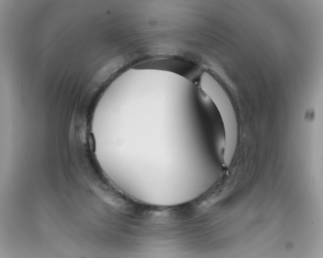 X0000091510068200709141403