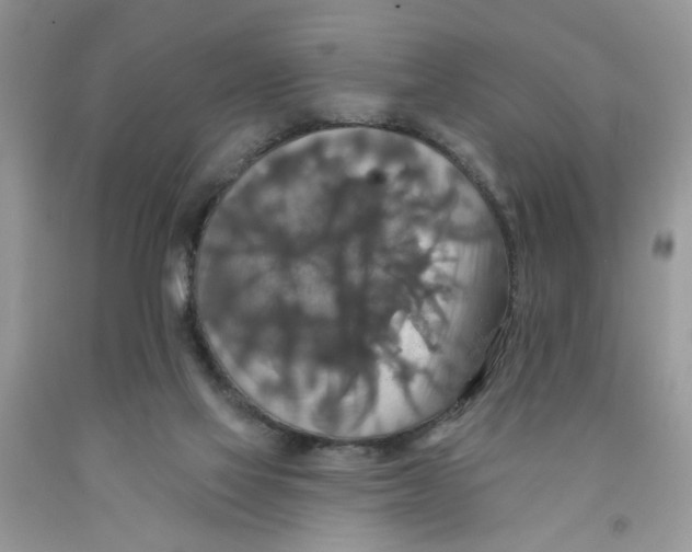 X0000091510069200709141403