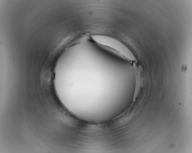 X0000091510072200709141403