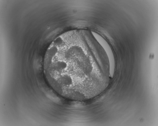 X0000091510073200709141403