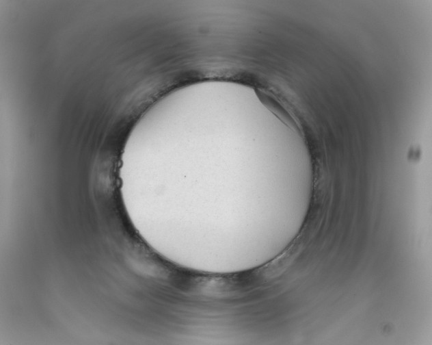 X0000091510074200709141403