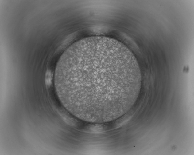 X0000091510075200709141403