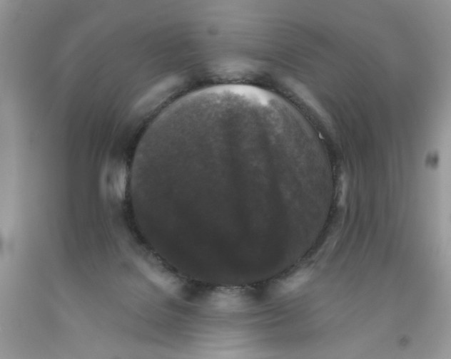 X0000091510076200709141403